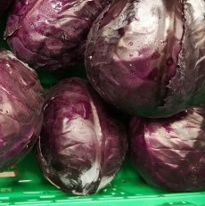 Kohl - Rotkohl