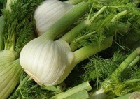 Fenchel ca. 250g