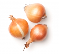 Zwiebel gelb