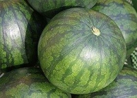 Melone - Wassermelone 1,0-1,3kg