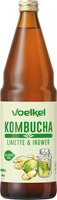 Kombucha Limette Ingwer