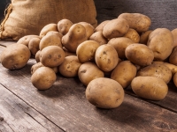 Kartoffeln festk. 12,5 kg