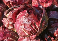 Radicchio ca. 350g