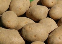 Kartoffeln vwfk. 2 kg