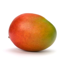 Mango Kent