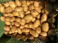 Butterkartoffeln