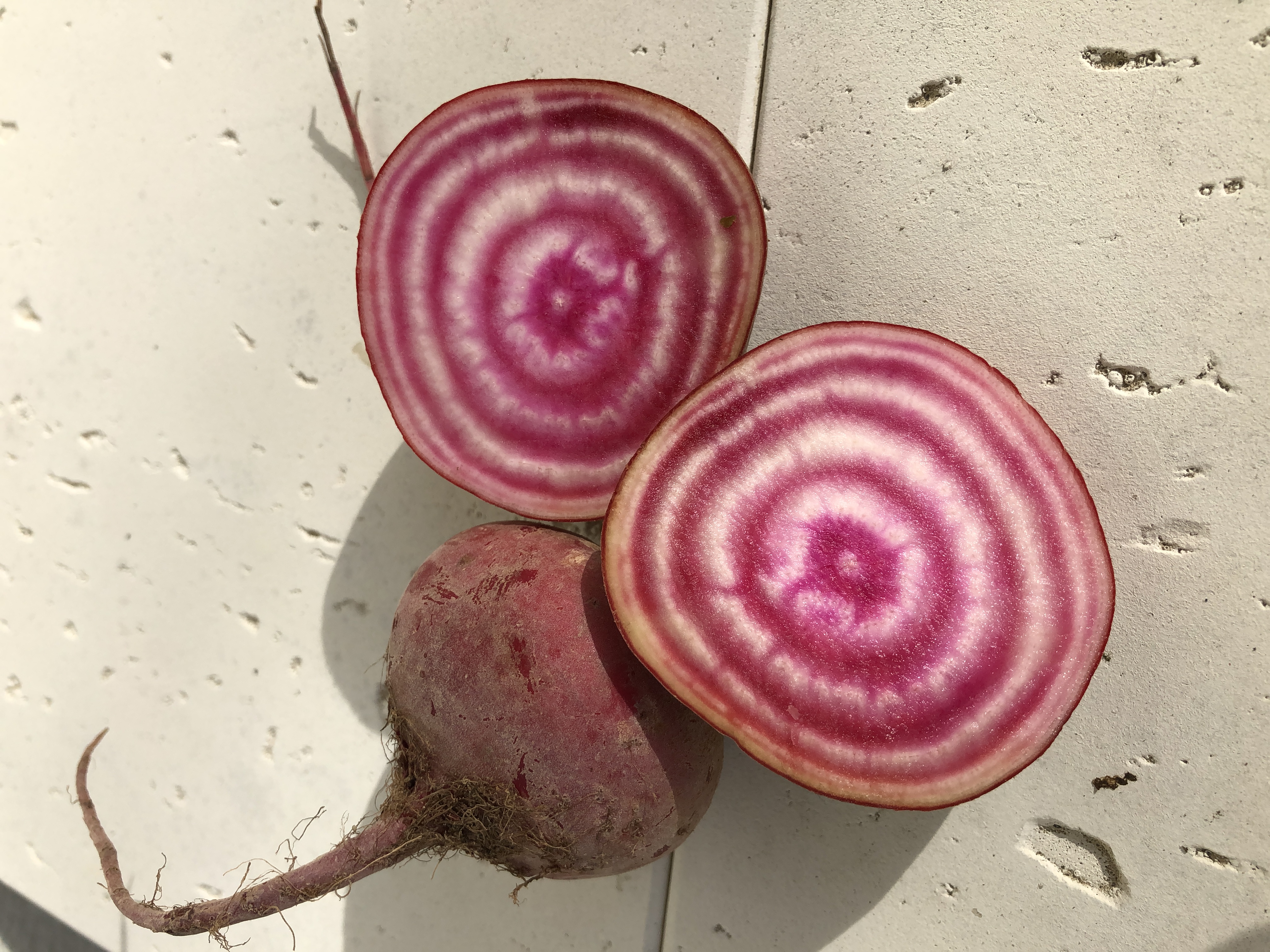 Bete - rosa/ringel