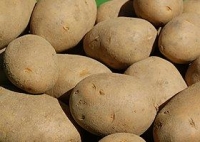 Kartoffel mehlig 2 kg