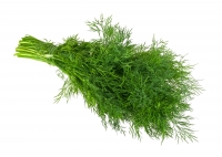 Dill Bund