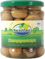 Champignon Köpfe